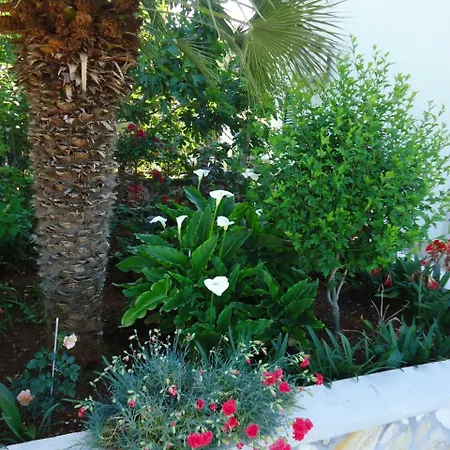 In With Terrace Air Conditioning Wi Fi Washing Machine Apartment *